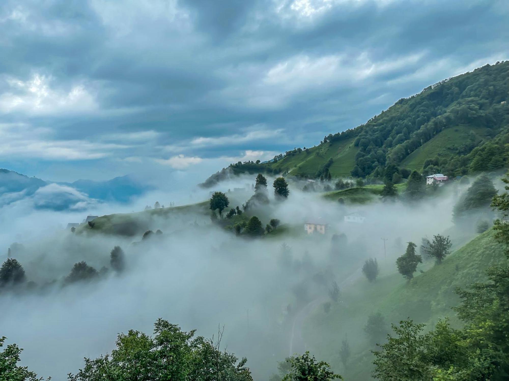 Organic Village Bungalow Ayder Yaylasi Kültér fotó